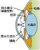 排水部分